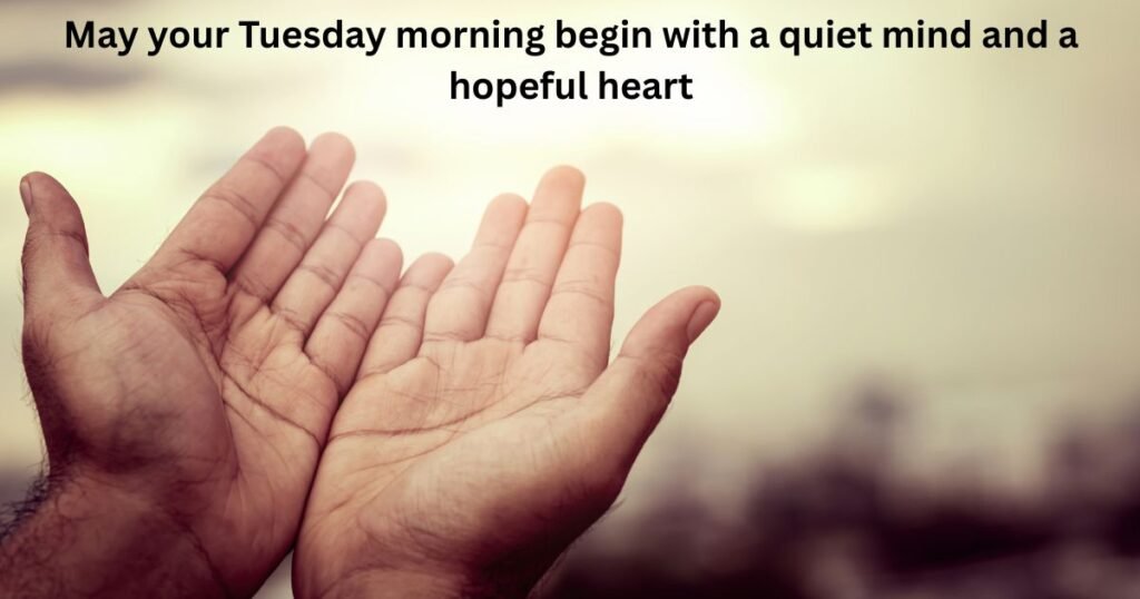Heartwarming Tuesday Morning Blessings
